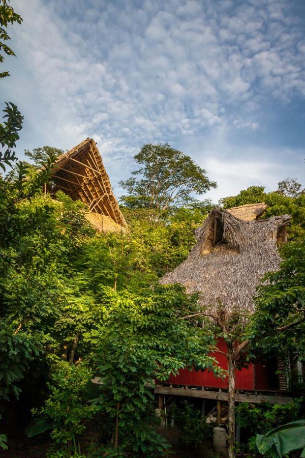 Hostel Clandestino Maderas Плайя-Мадерас Экстерьер фото